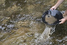 gold-panning-for-gold